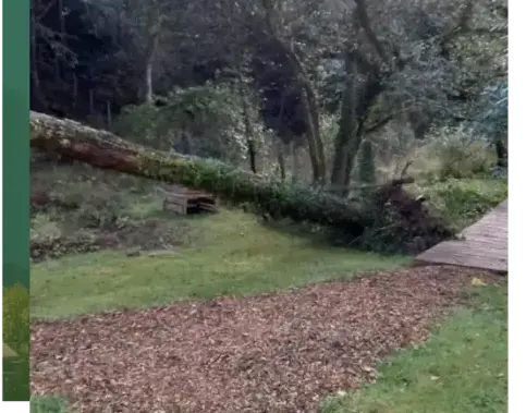 pose clôture rigide Locoal-Mendon-3