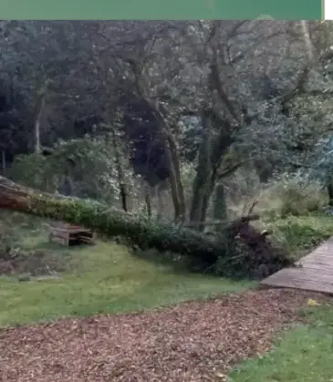 pose clôture rigide Lorient-1