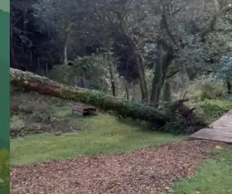 pose clôture rigide à Pluvigner - image 3
