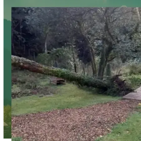 pose clôture rigide à Quistinic - image 2