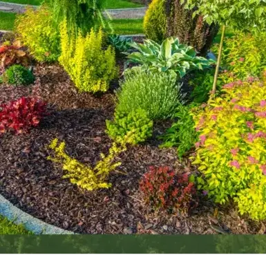 pose clôture rigide Vannes-1