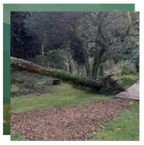 pose clôture rigide à Vannes - image 2